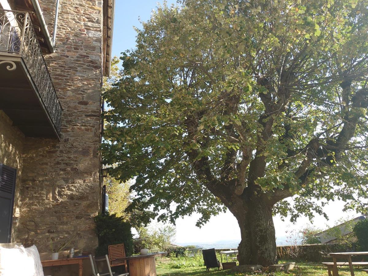 Chateau De Riverie Chambres Et Table D'Hotes Luaran gambar