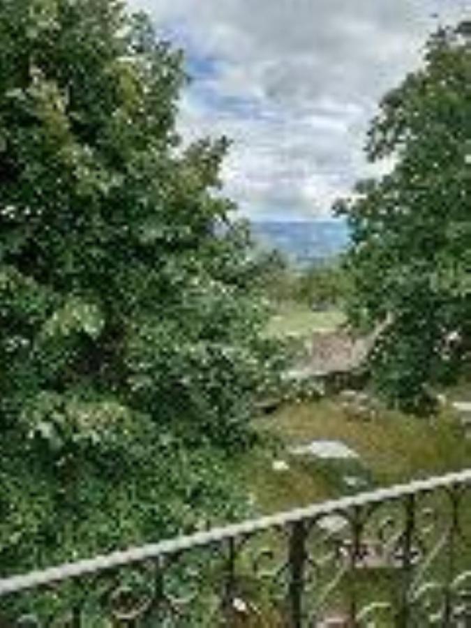 Chateau De Riverie Chambres Et Table D'Hotes Luaran gambar