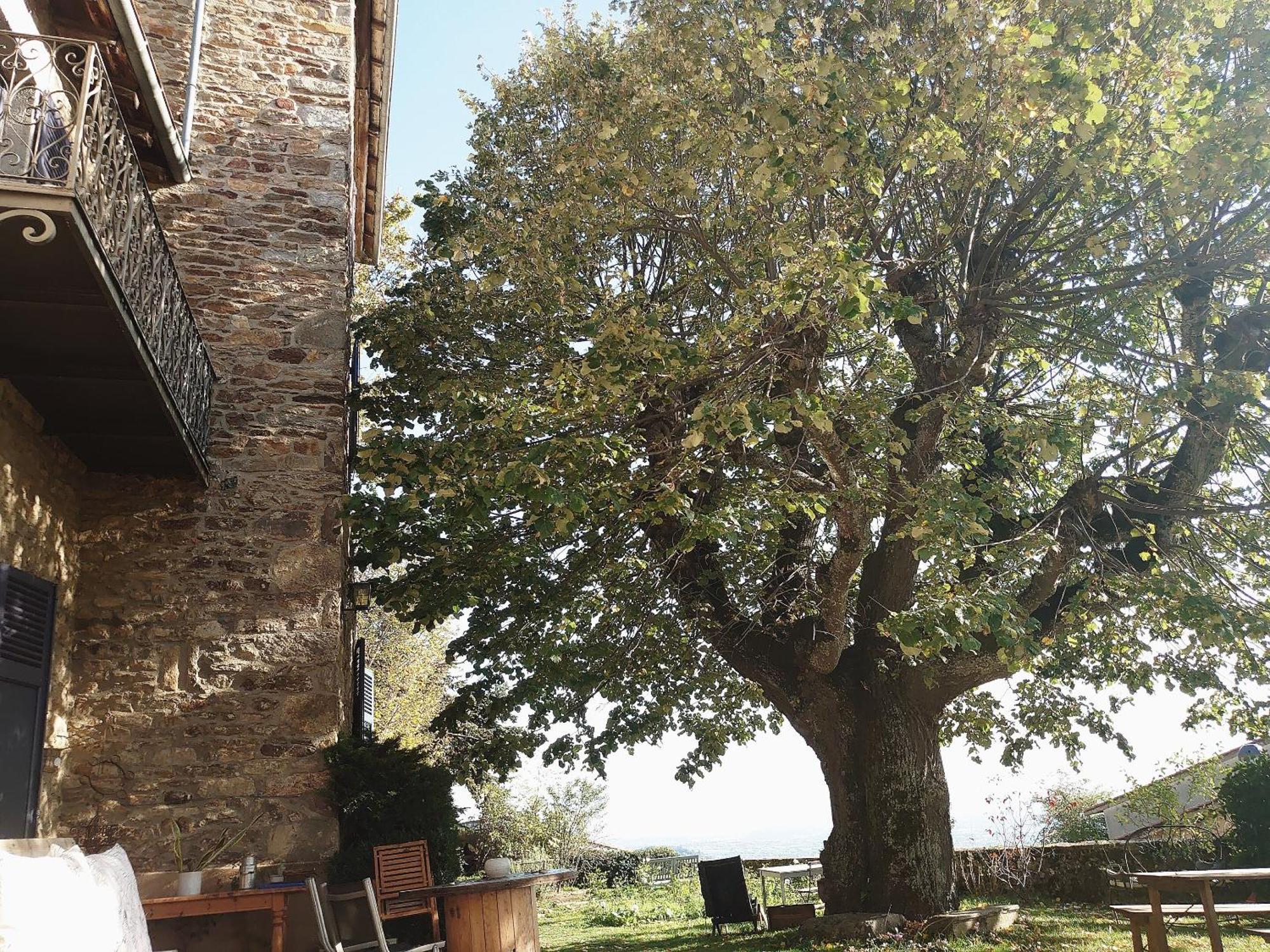 Chateau De Riverie Chambres Et Table D'Hotes Luaran gambar